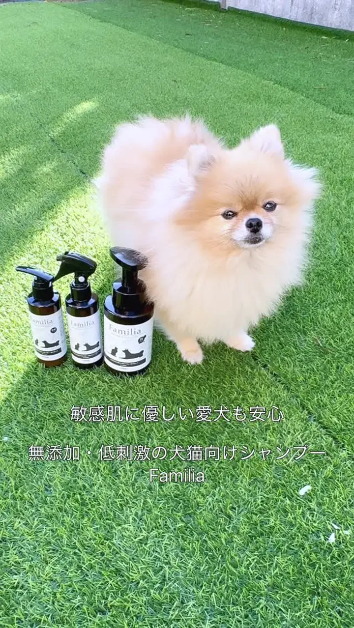 ファミリア 犬用ボタニカルシャンプー –シャンプーなら HARIO NETSHOP