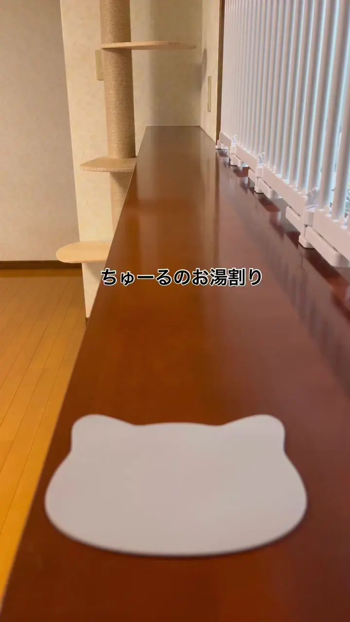 にゃんマット –ペット用ランチョンマットなら HARIO NETSHOP