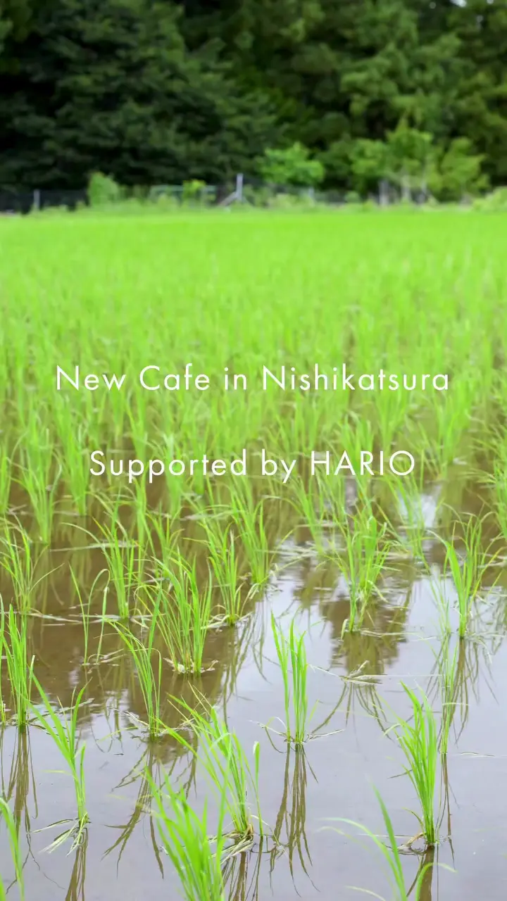 サーモカラーマグ FUJI –マグカップなら HARIO NETSHOP