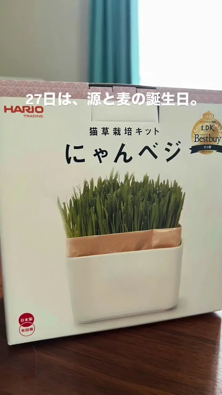 猫草栽培キット にゃんベジセット –猫用品なら HARIO NETSHOP