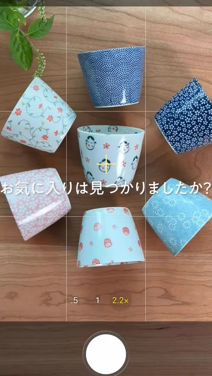 日本製】ちゅら 四角5.0皿5枚セット｜ 四季折々のおしゃれな和食器通販