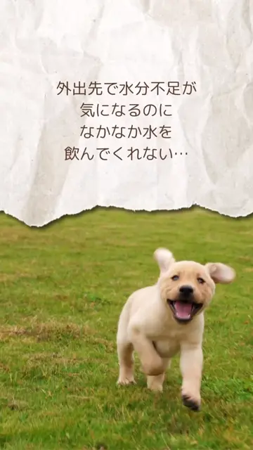 くちどけやわらかゼリー りんご KNRIKN03-00 | キナリ | GREEN