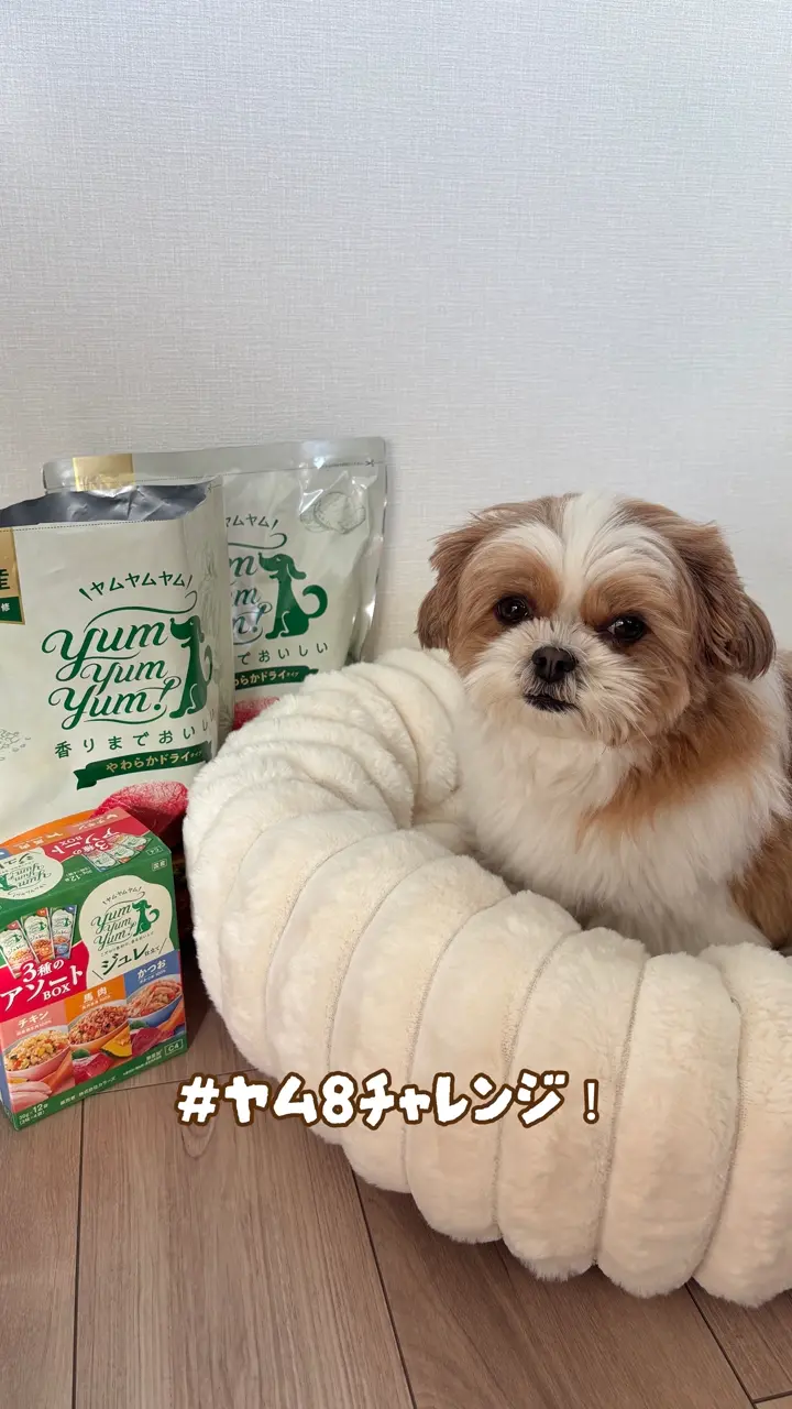 yum yum yum！ 馬肉 やわらかドライタイプ YUMYYH50-00 | ヤムヤムヤム