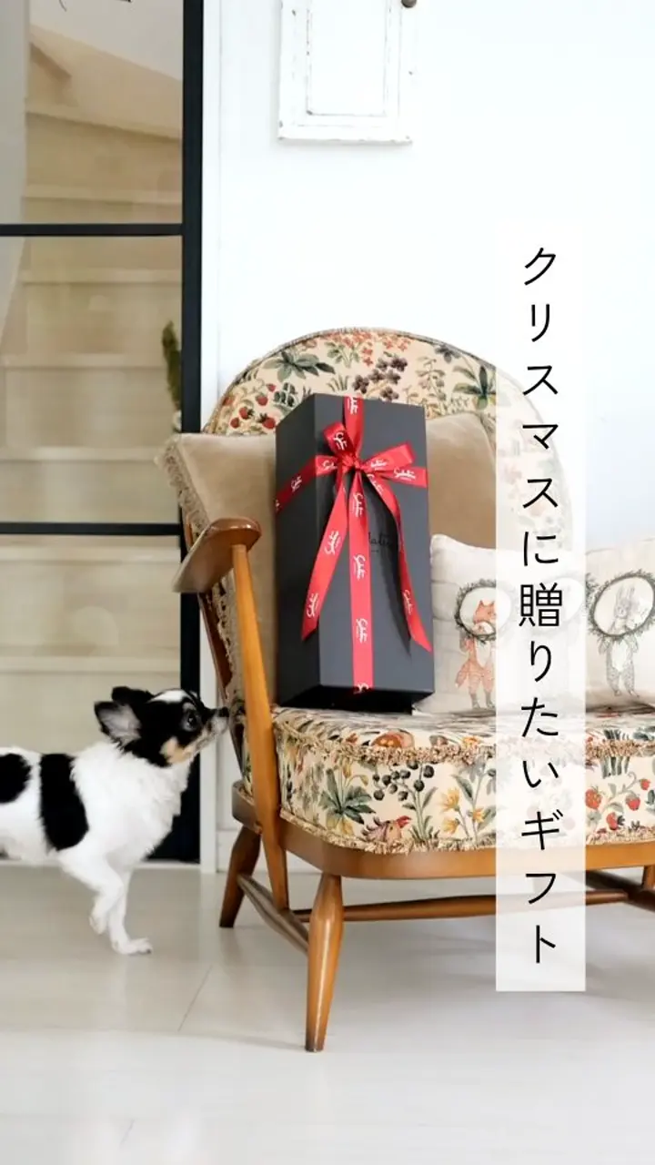 マーク ベスト MARQUE マルク 大型本 洋書 MARQUE｜マルク – 育てるタオル 公式online store