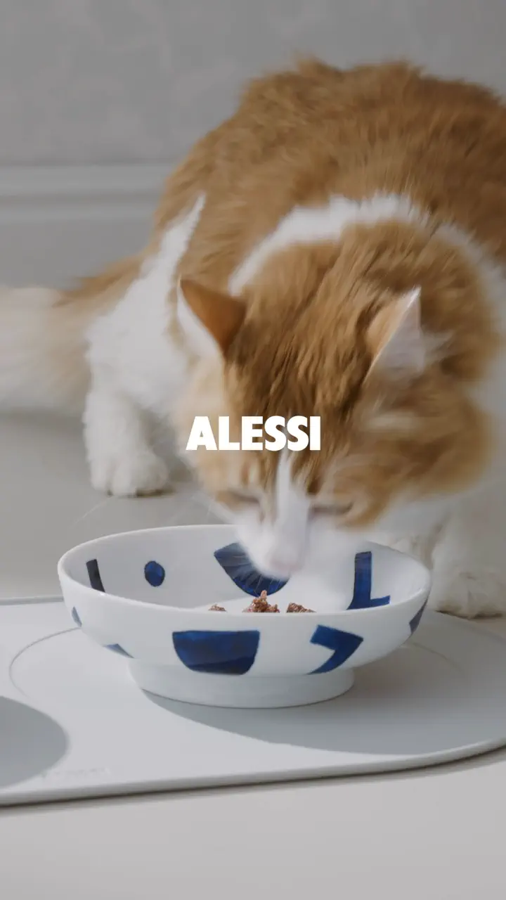 ALESSI JAPAN（アレッシ ジャパン）公式オンラインショップ