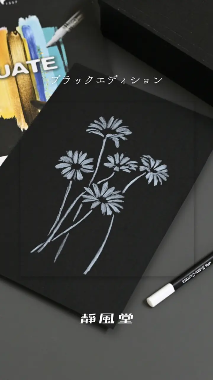 Faber-Castell Black Edition★100色★油性色鉛筆 dショッピング |ファーバーカステル ブラックエディション色鉛筆セット