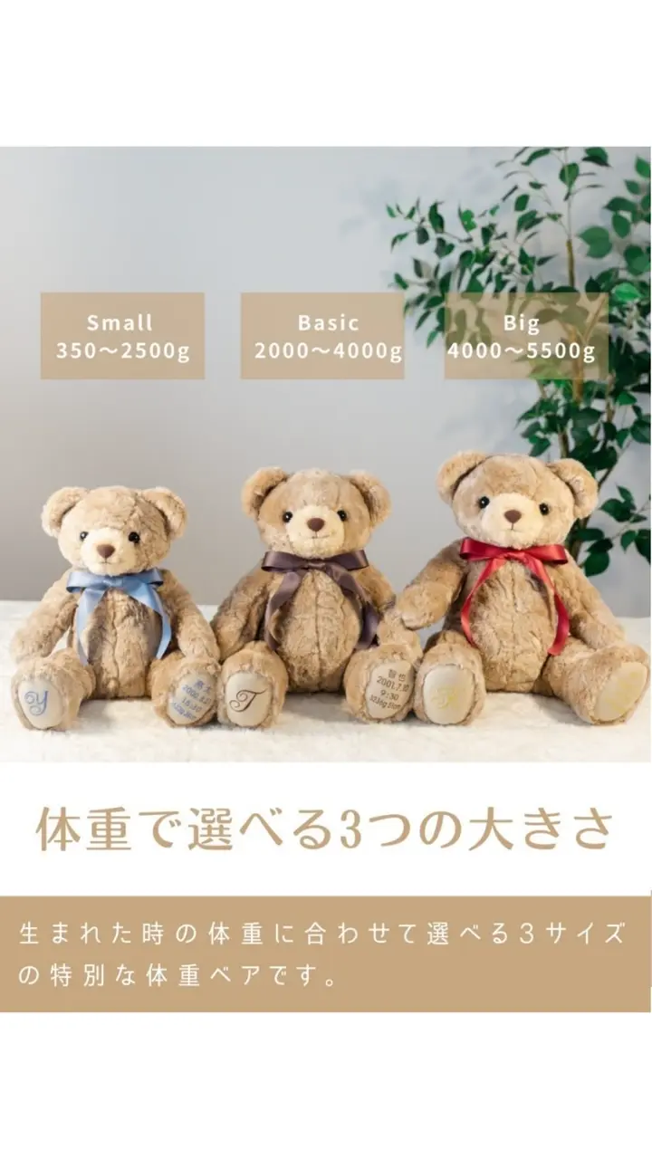 ハグハグ サイズが選べる体重ベア【新作】【刺繍入り2体セット