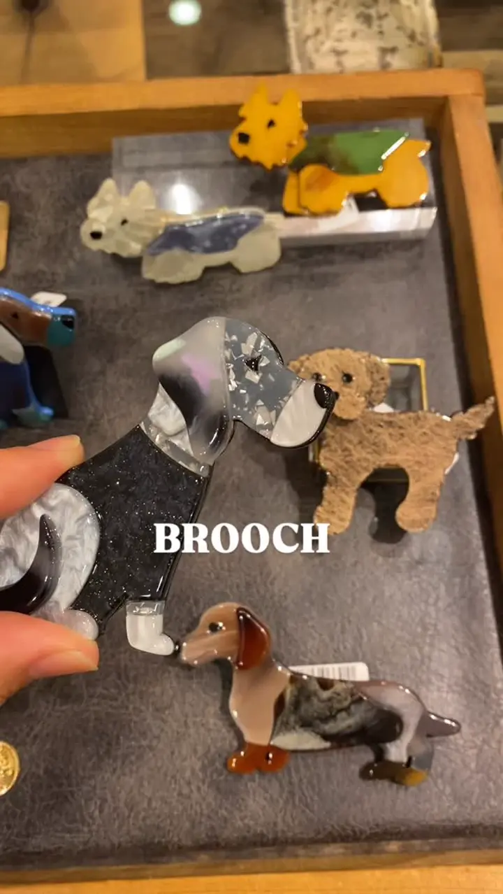 犬モチーフ/うちのワンちゃんブローチ | ear PAPILLONNER(イア