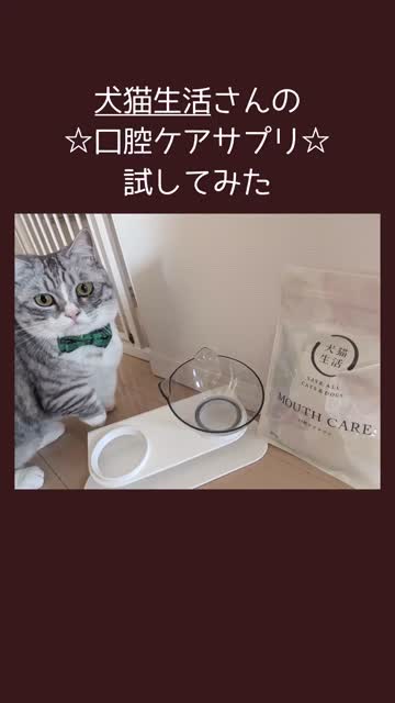デンタルふりかけ（口腔ケアサプリ）（猫用） | 犬猫生活公式ショップ 