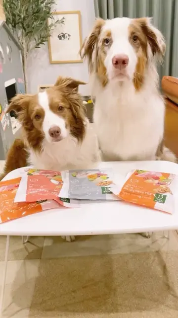 UPページ　犬猫生活手作りフードフィッシュ16袋 犬猫生活 犬用 手作りごはん 12袋セット チキン フィッシュ