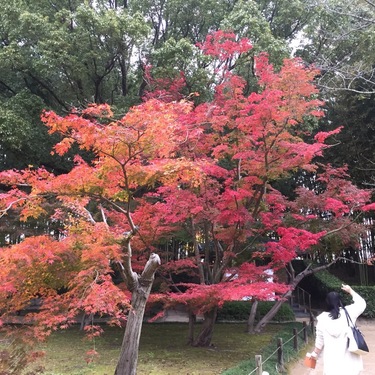 さとみのアイコン