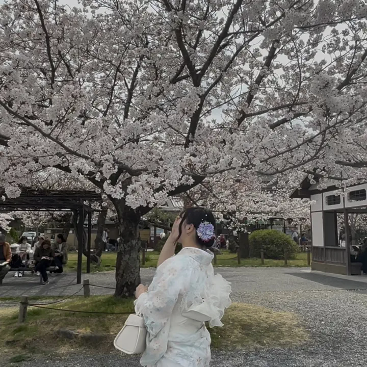 6/6/2026のyuiの投稿