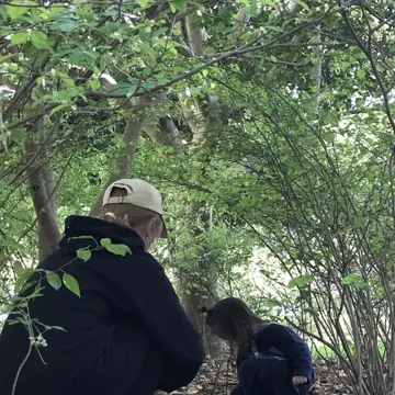 なーごのアイコン