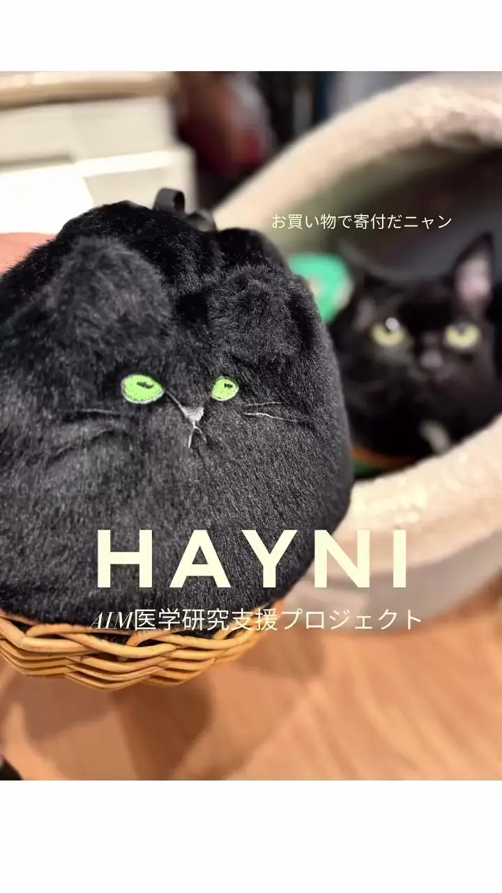 HAYNI ねこバック　ブラックファー HAYNI AIM医学研究支援PJ実施中｜ 猫 ねこ ショルダーバッグ