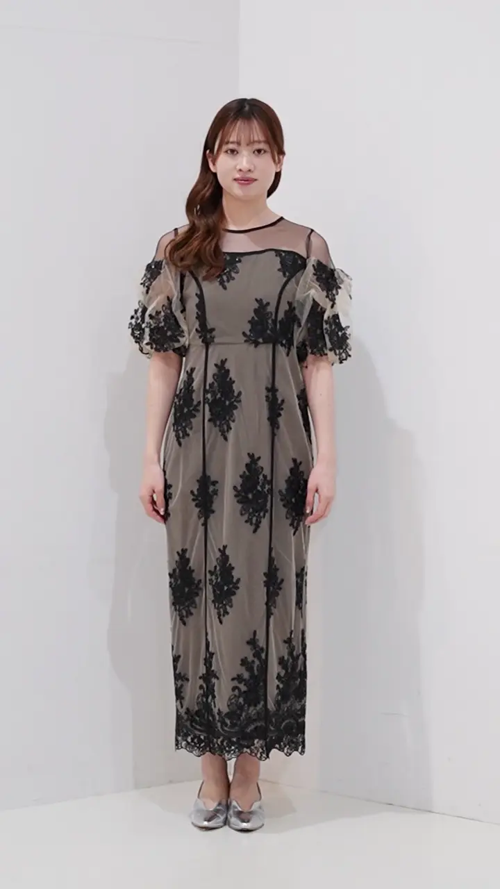 Embroidered sheer dress | DRESS,DRESS | ROOM903 online