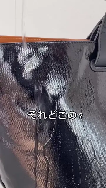 DAZAIコラボ》2WAYトートBAG | BEARDSLEY(ビアズリー)レディース | PAL