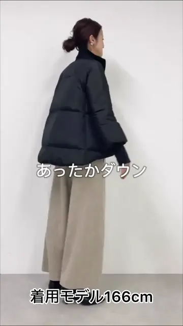 新品未使用✨BEARDSLEY ジップフレアダウン BEARDSLEY（ビアズリー）の「ジップフレアダウン（ダウン
