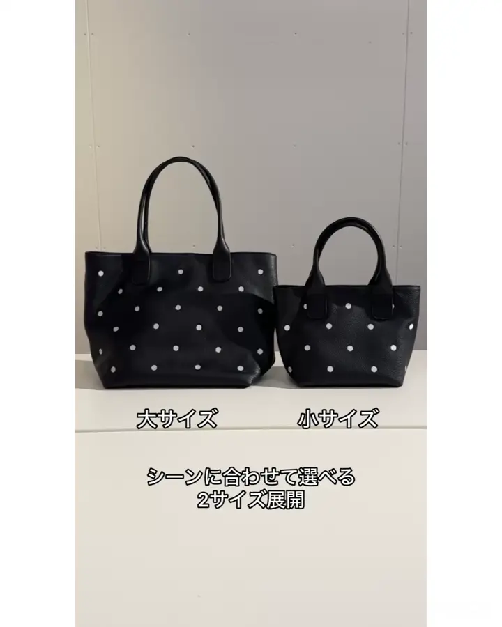 本革》ドット刺繍バッグ/小 | BEARDSLEY(ビアズリー)レディース | PAL