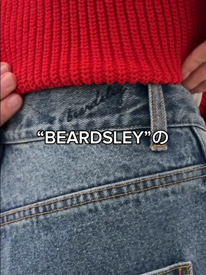 刺繍入りワイドデニム | BEARDSLEY(ビアズリー)レディース | PAL