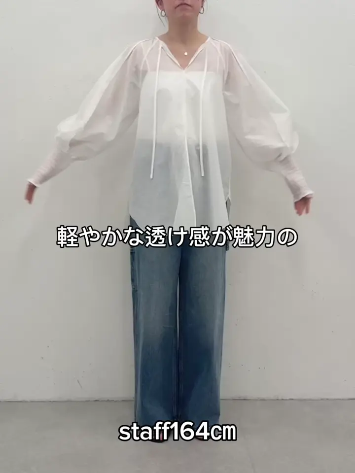 シアーブラウス | BEARDSLEY(ビアズリー)レディース | PAL CLOSET(パル