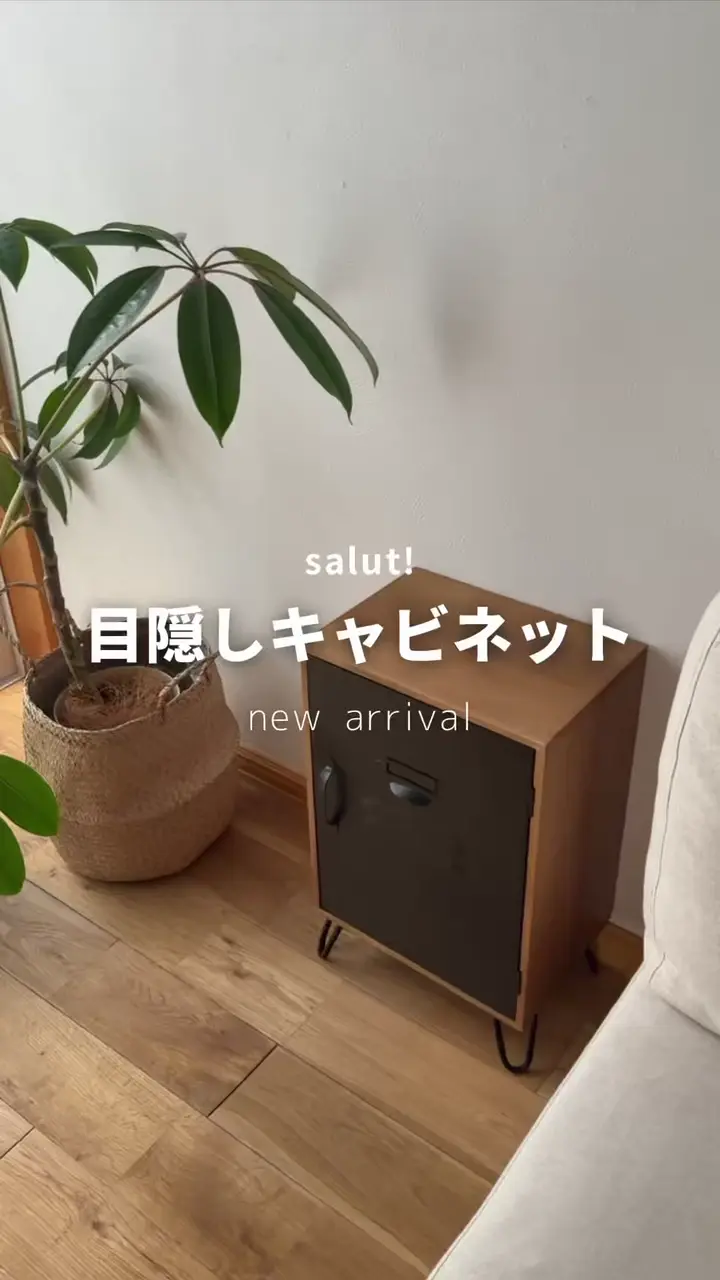 WEB限定商品》アイアン目隠しキャビネット | salut!(サリュ)ライフ