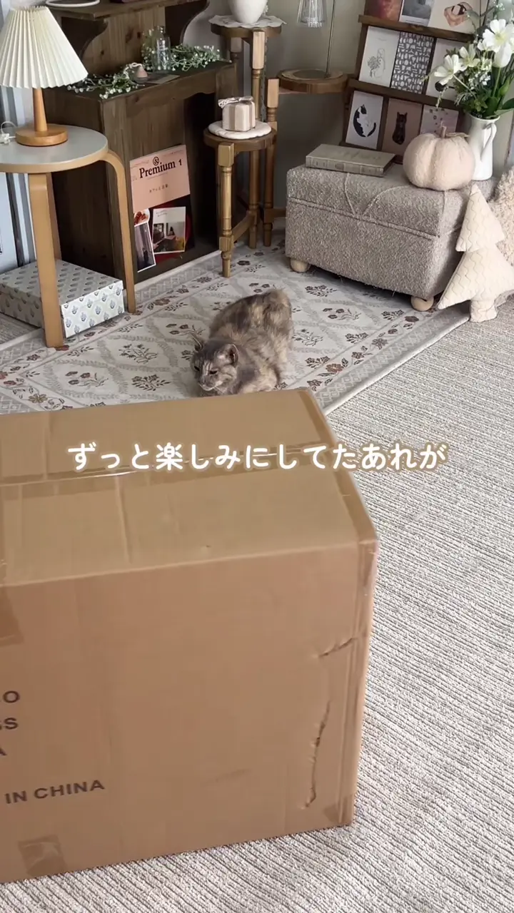 サリュ オールドウッドテレビラック ウッドTVラック（ナチュラル