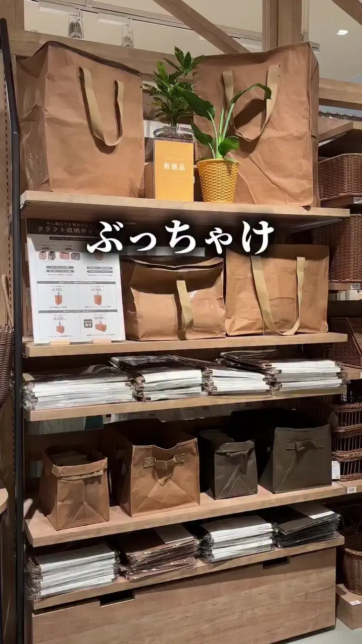 クラフト収納ボックスハーフ | salut!(サリュ)ライフスタイル | PAL