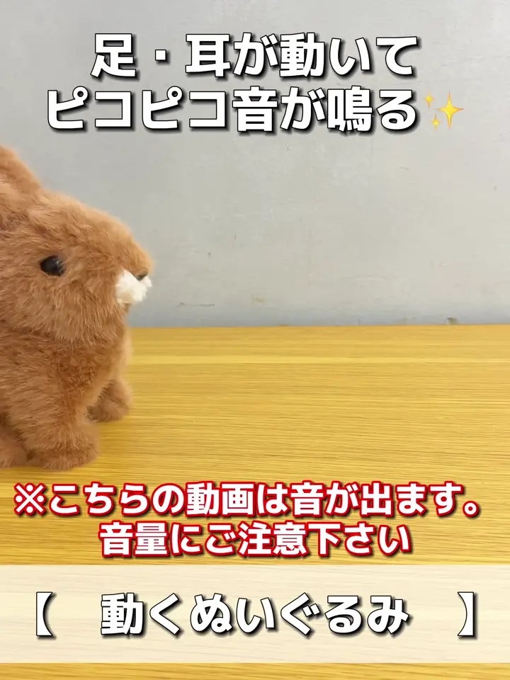 Bgnito Seggy ぬいぐるみ 3個セット Bgnito Seggy ぬいぐるみ 3個