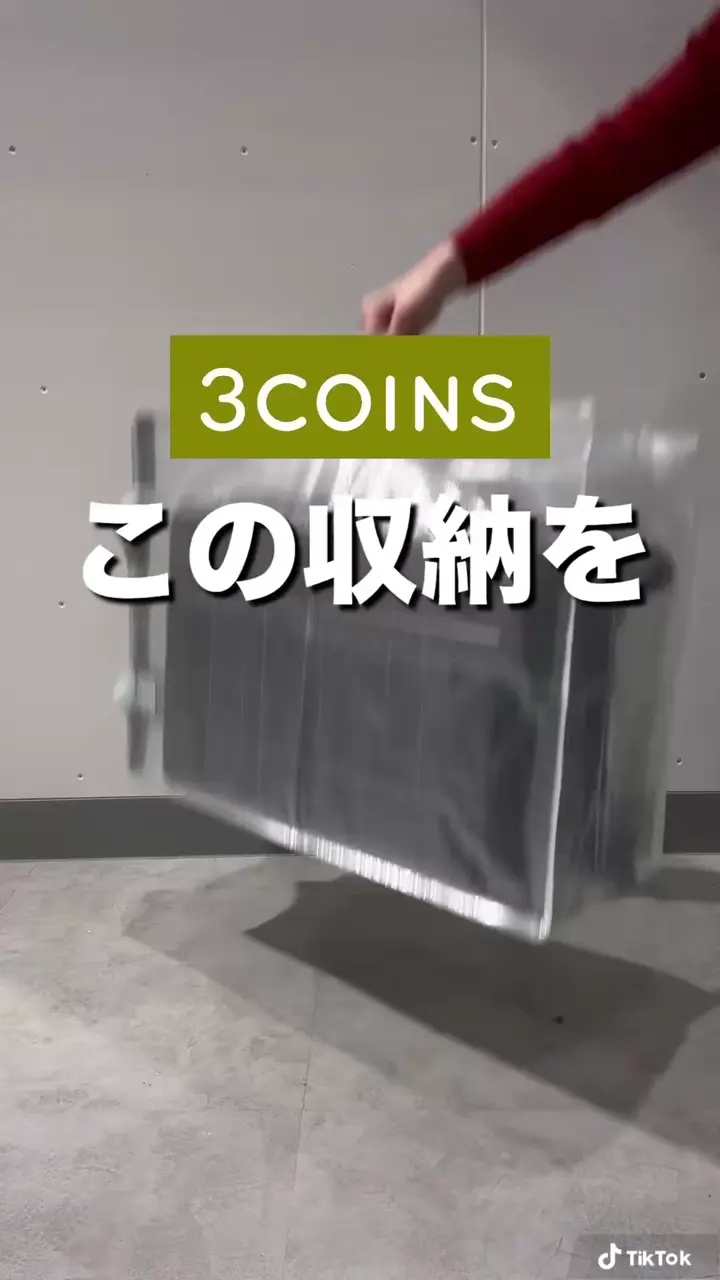 クリアボックスバッグ：LLタテ／クリア収納シリーズ | 3COINS(スリー 