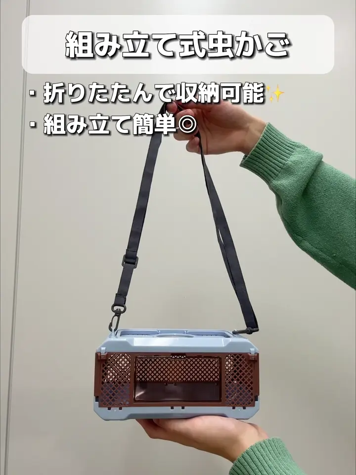 組み立て式虫かご | 3COINS(スリーコインズ)キッズ | PAL CLOSET(パル