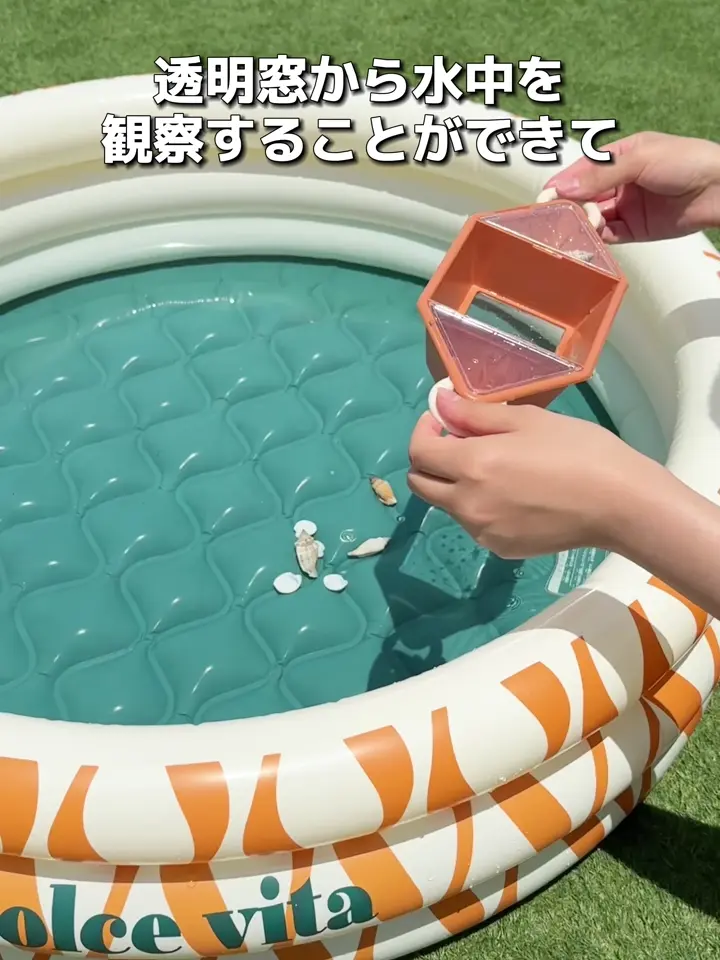 ポケット付き観察ケース | 3COINS(スリーコインズ)キッズ | PAL CLOSET