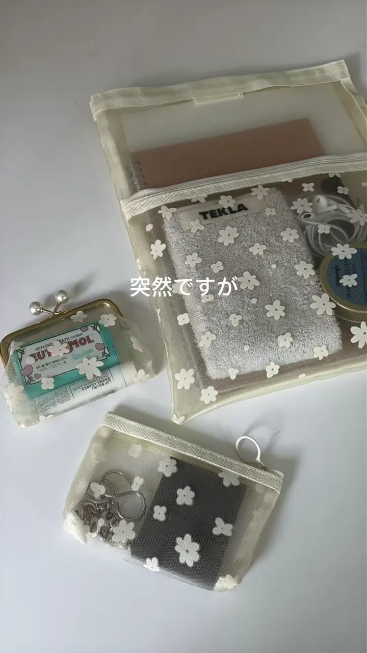 限定新柄‪·͜· ❤︎ペッタンコポーチ バッグインバッグ フラワー フラワーメッシュバッグインバッグ | Lattice(ラティス)レディース