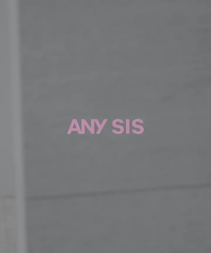 ANY SIS L 【美ライン大人T】半袖 Tシャツ 