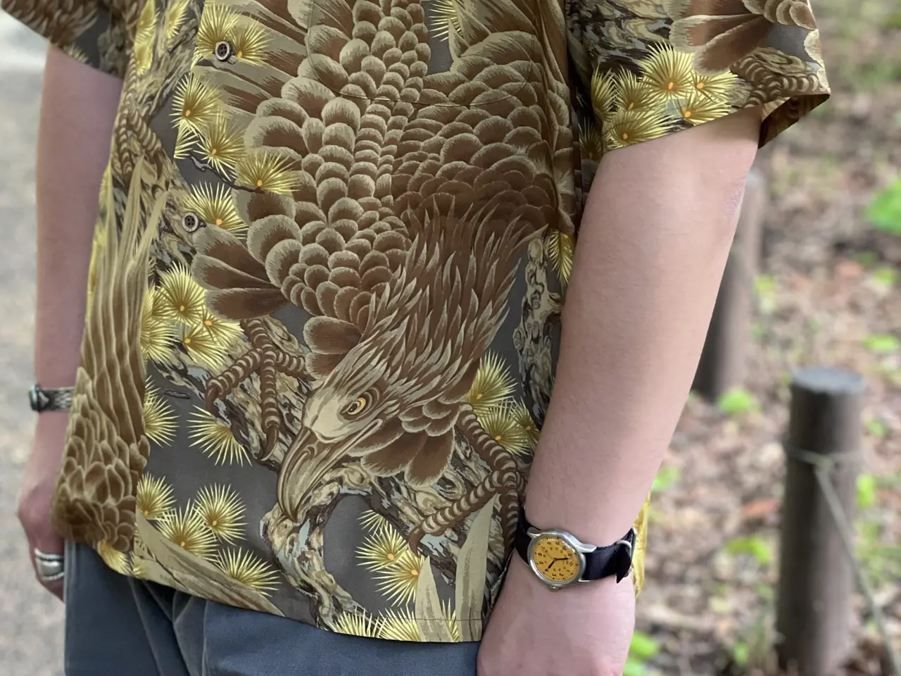 Sample image