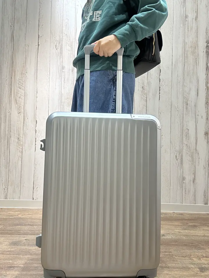 スカイラボ スーツケース 98(108)L 68cm 5.2kgSKY2313-68 SKYLABO