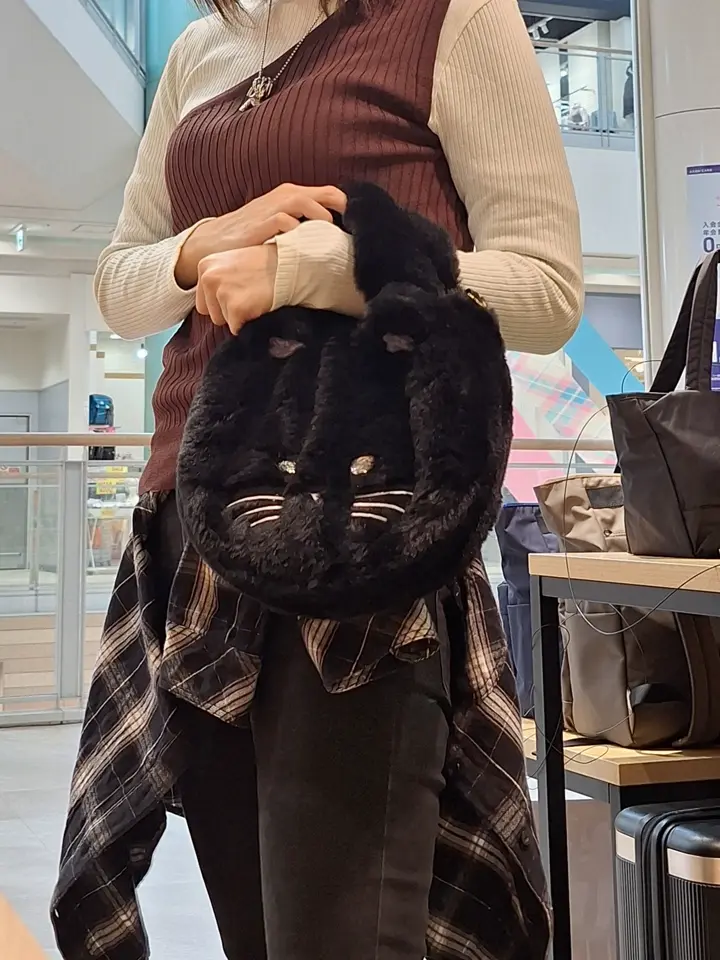 11/4/2025ののだちゃんの投稿