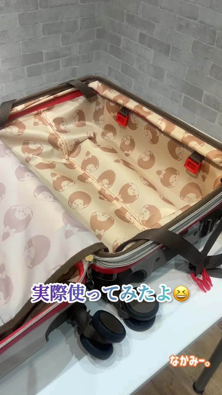 モンチッチ スーツケース 34(41)L 48cm 3.5kg MON-001 Monchhichi