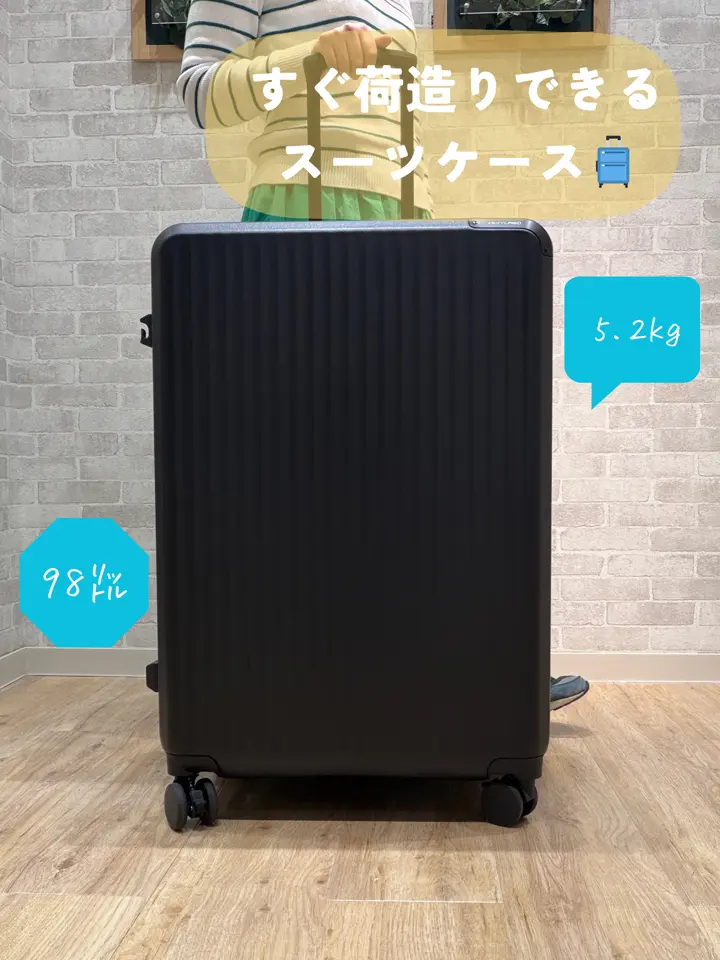 スカイラボ スーツケース 98(108)L 68cm 5.2kg SKY2313-68 SKYLABO