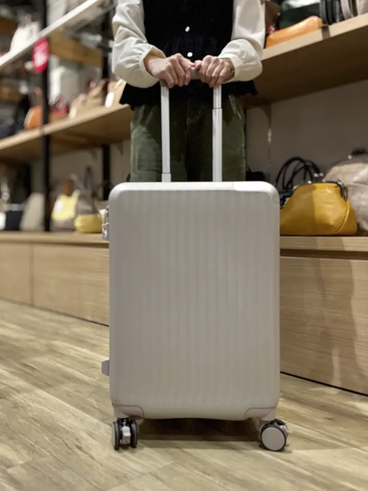 【しるばー】購入ページ①/4 スカイラボ スーツケース 48(55)L 53cm 3.6kg SKY2313-53 SKYLABO