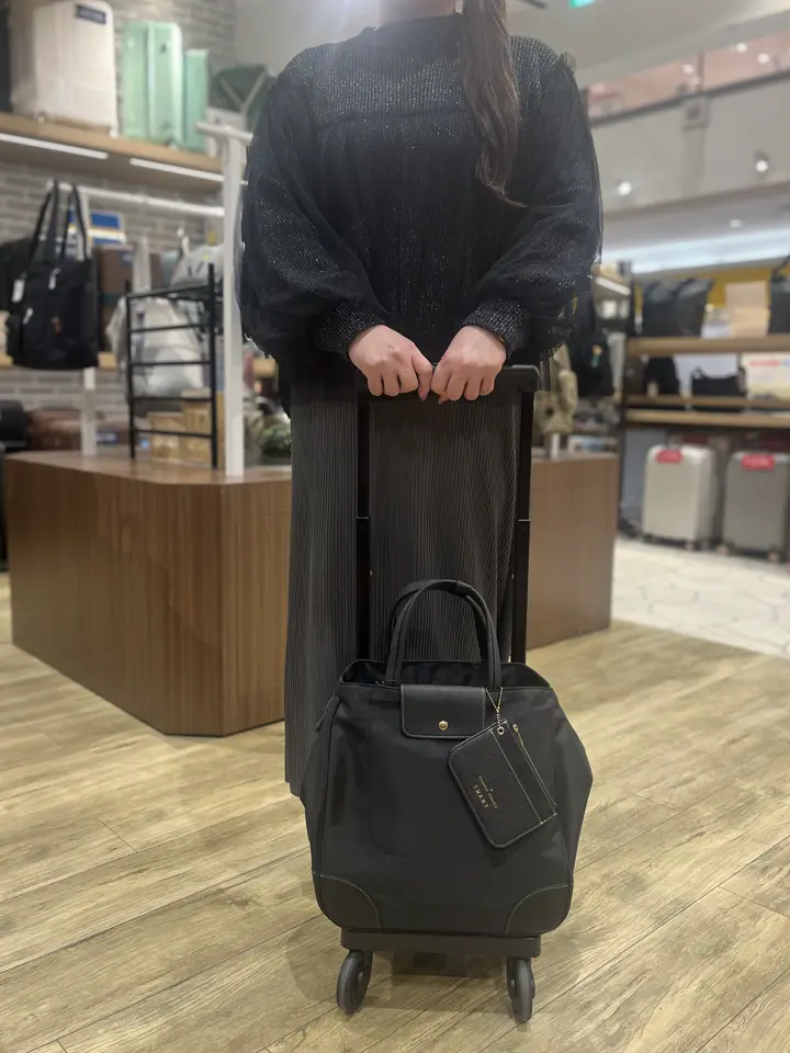 スワニー トランジットラウンジ ショッピングカート 21L 44cm 2.4kg