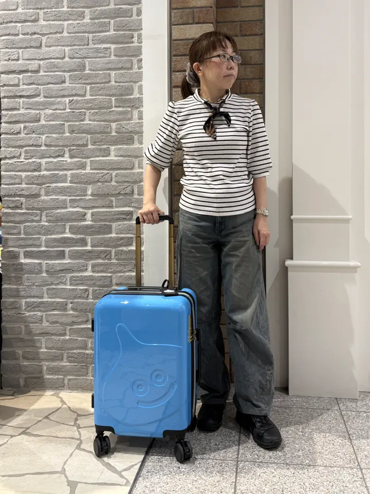 ドラゴンクエスト キャリーケース 36(41)L 3.8kg QUE-001 DRAGON QUEST