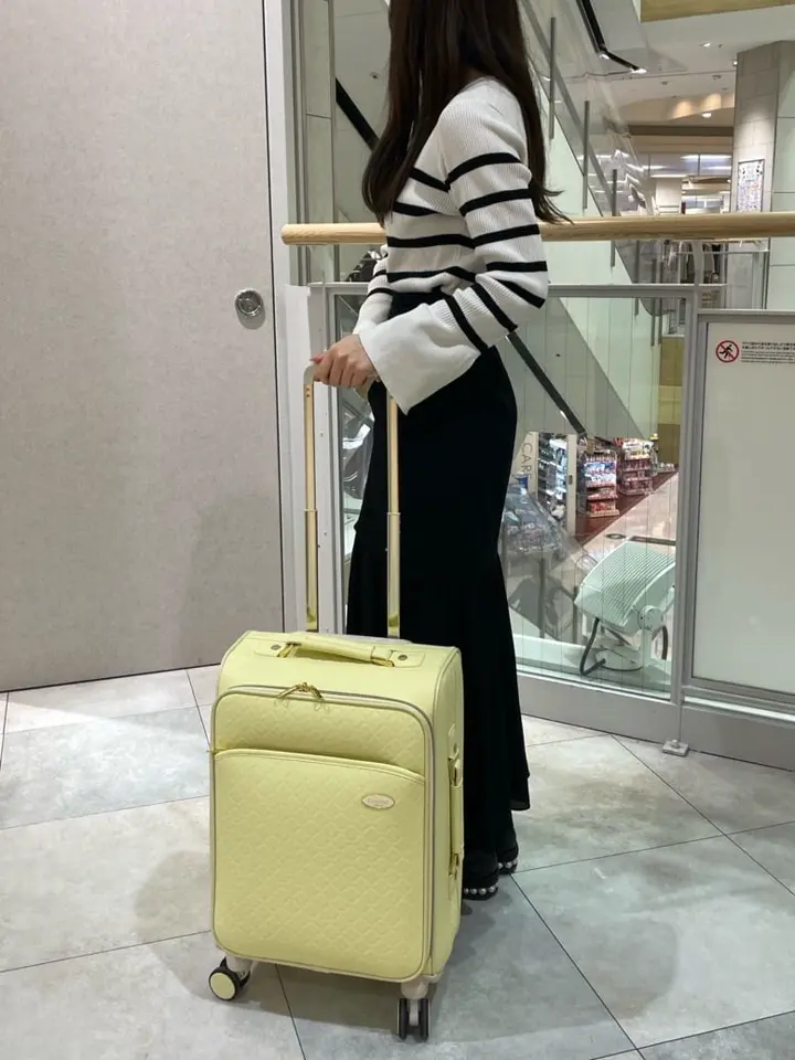 シフレ ルナルクス スーツケース 機内持ち込み 28L 46cm 3.2kg