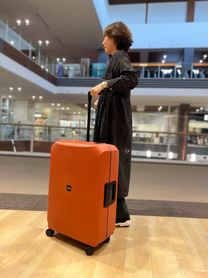 ロジェール　スーツケース 66L Voja グレージュ　　TSAロック ロジェール スーツケース 66L 60cm Voja VOJA-M LOJEL｜TSA