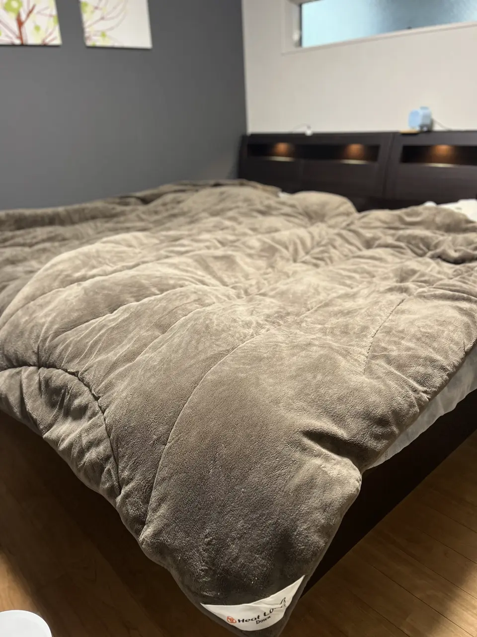 ヒートループ羽毛入り掛け布団 シングル ヒートループ（R）羽毛入り掛け布団 シングル 通販 - ディノス