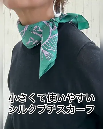 ホース柄 シルクプリント プチスカーフ 通販 - ディノス