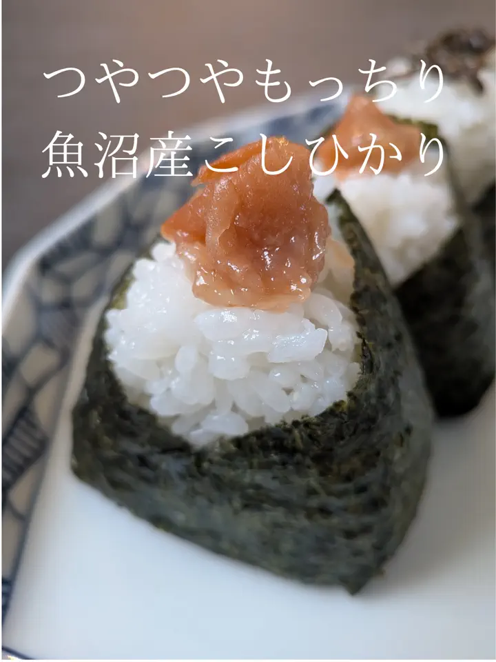 お得な定期便】魚沼産こしひかり 食味厳選米8kg 【毎回送料無料】 通販