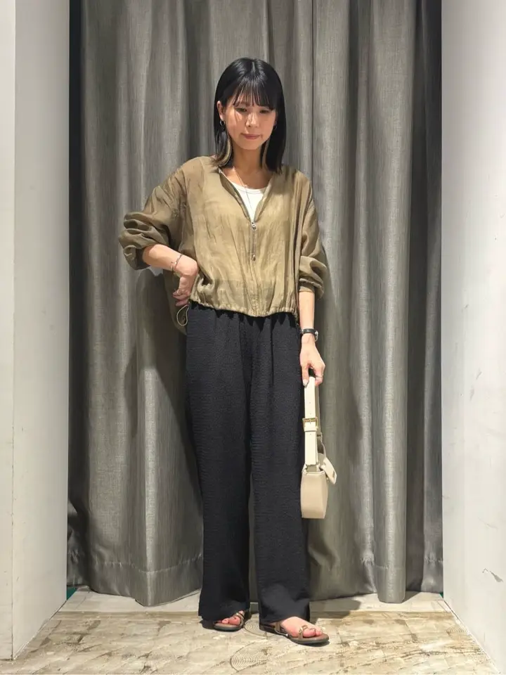 ノーカラーシアーZIPブルゾン/AMERICAN HOLIC（アメリカンホリック）の