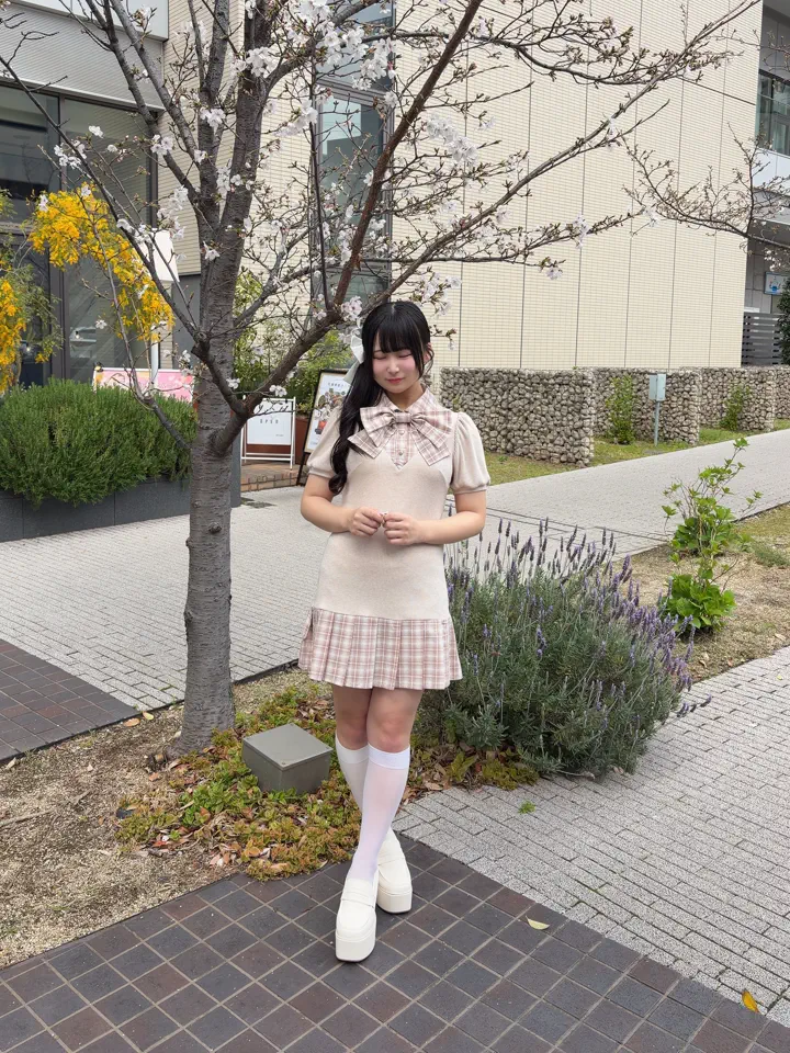 リボンチェックプリーツリブワンピース｜evelyn（エブリン）公式通販サイト