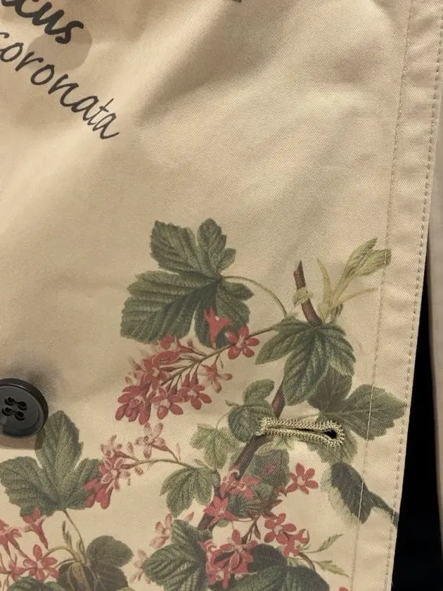 GRACE CONTINENTAL N.YURI コーディネート画像