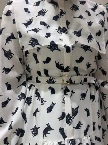 GRACE CONTINENTAL N.YURI コーディネート画像